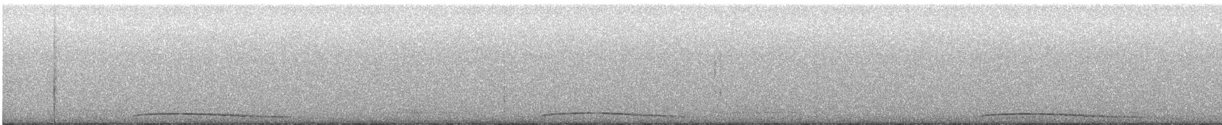 Eastern Screech-Owl - ML648261187