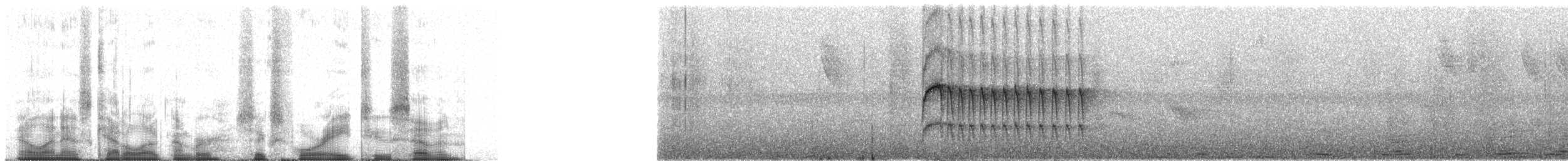 Ласточковый мухолов (ferruginea/sclateri) - ML64827
