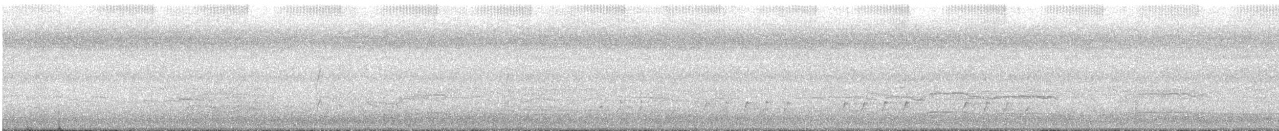 ミサゴ - ML648277451