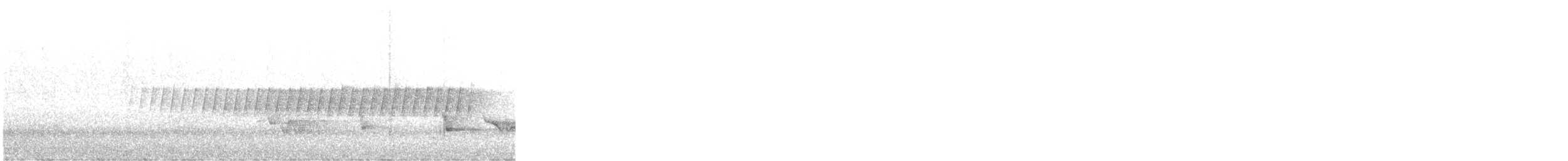 Pine Warbler - ML648278639