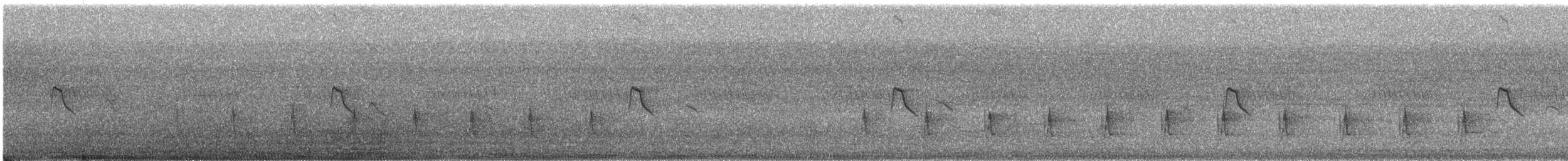 Black-and-white Mannikin (Red-backed) - ML648279378