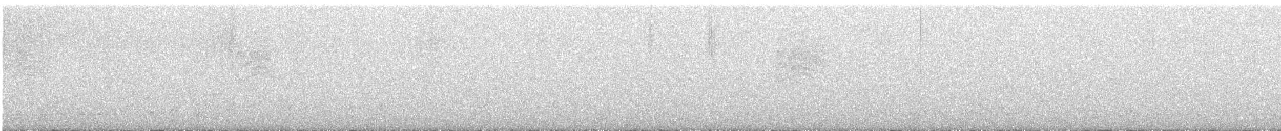 Tropical Gnatcatcher - ML648288295