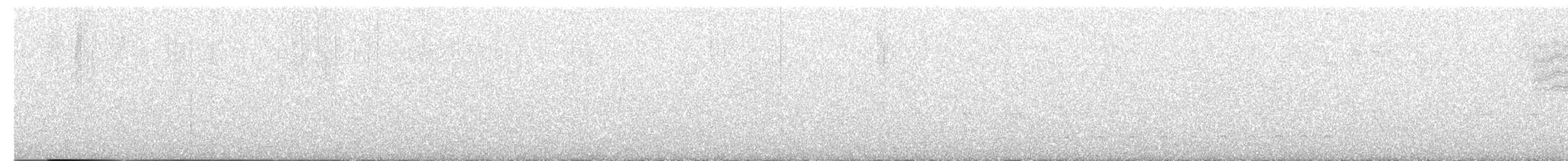 Tropical Gnatcatcher - ML648288539