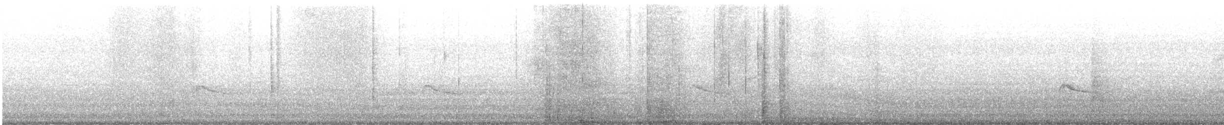 Say's Phoebe - ML648295417