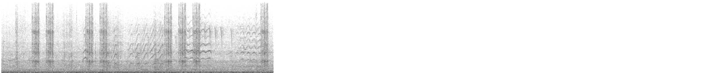 Great-tailed Grackle - ML648295750