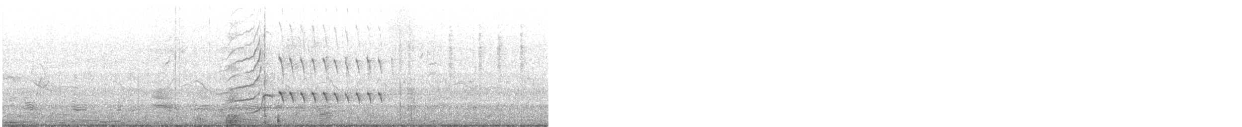 Great-tailed Grackle - ML648295751