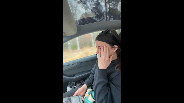 Buntfalke - ML648300983