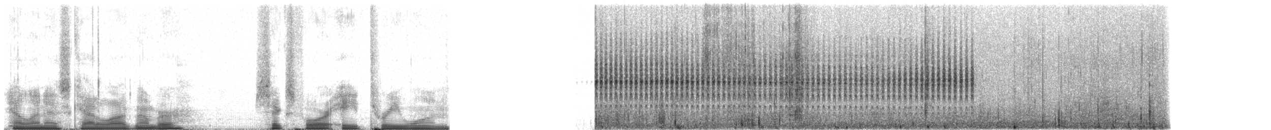 Méridazaunkönig - ML64831