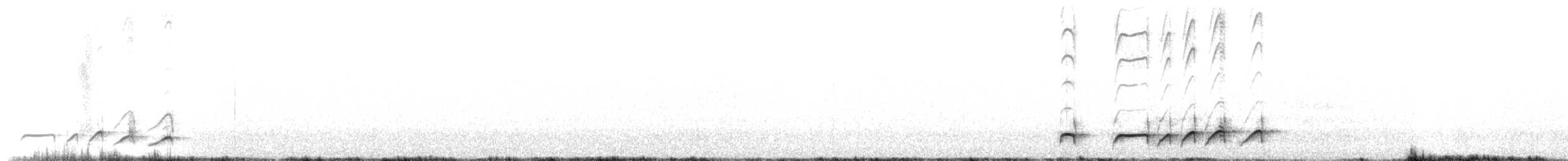 Boyaca Antpitta - ML648312094