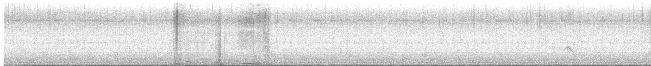 Picogordo Vespertino - ML648314593