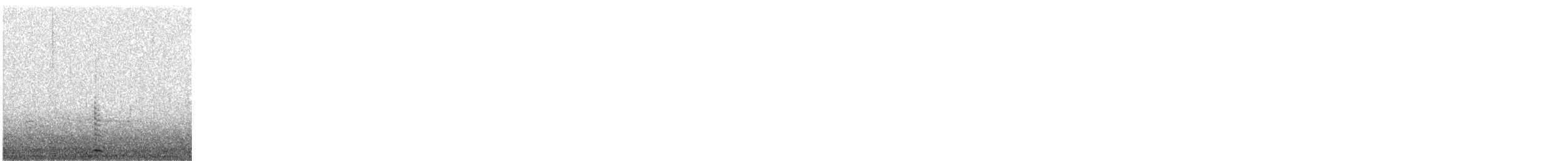 Trumpeter Swan - ML648323747