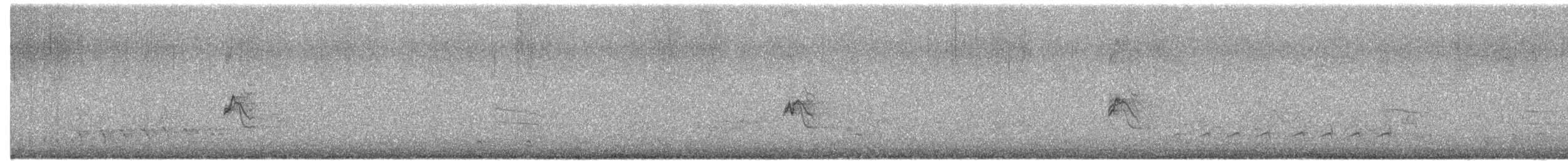 Purple Finch - ML648328166