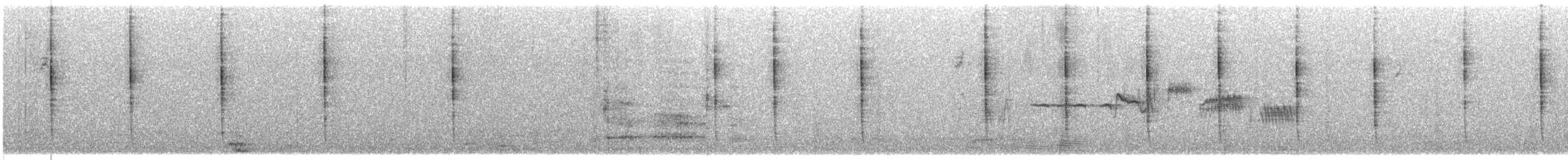 vinterjunko (mearnsi) - ML648329647