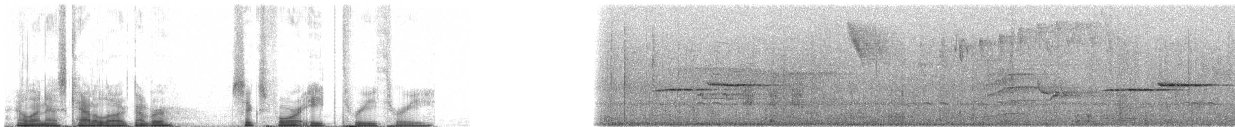 Дрізд-короткодзьоб сірий [група fuscater] - ML64833