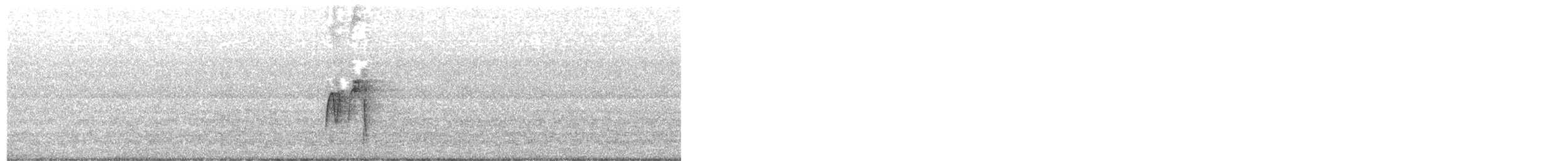 חטפית ירקרקה - ML648334559