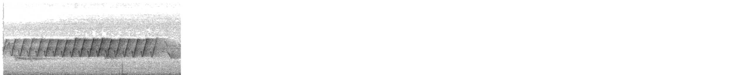 Pine Warbler - ML648338623