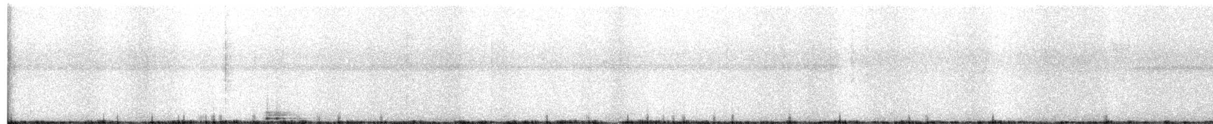 Picamaderos Piquiclaro - ML648347169