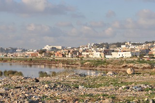 Sebket Sijoumi (east), Tunis, Tunisia - eBird Hotspot