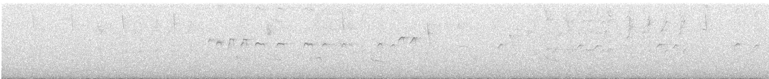 Solitary Sandpiper - ML648360745