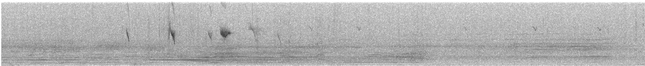 Western Yellow Wagtail - ML648365996