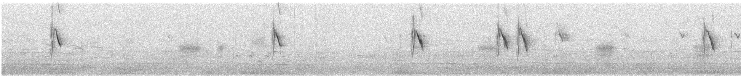 Western Yellow Wagtail - ML648365998