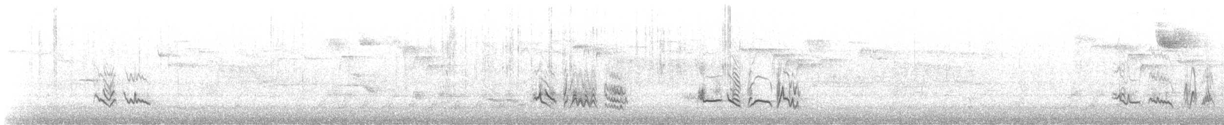 Eastern Bluebird - ML648366004