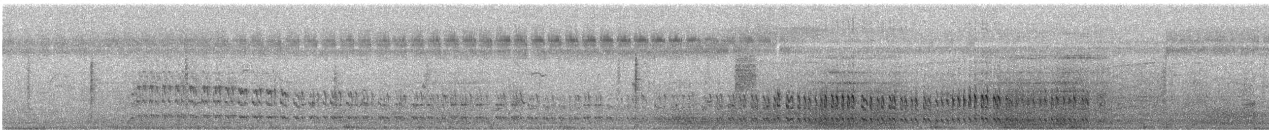 Ruddy-breasted Crake - ML648366010