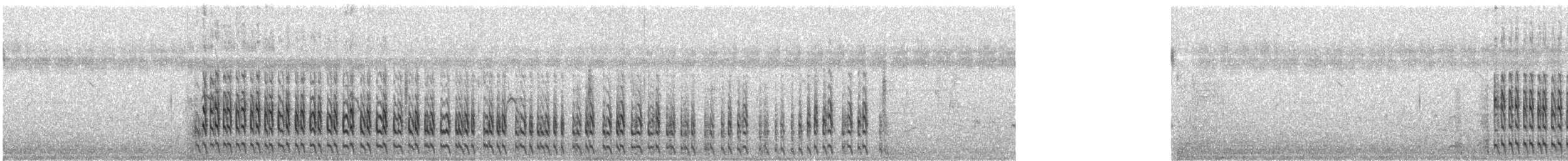 Ruddy-breasted Crake - ML648366011
