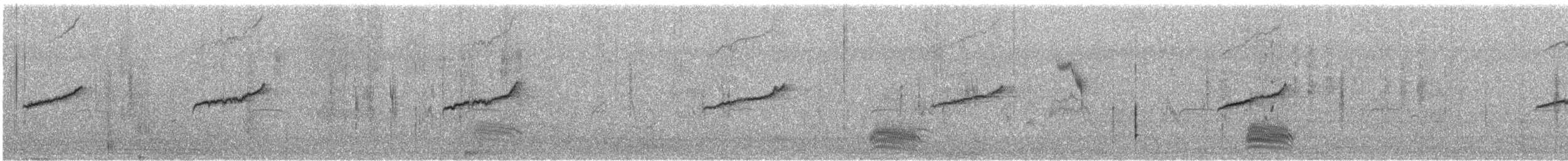 Oriental Magpie-Robin - ML648366024