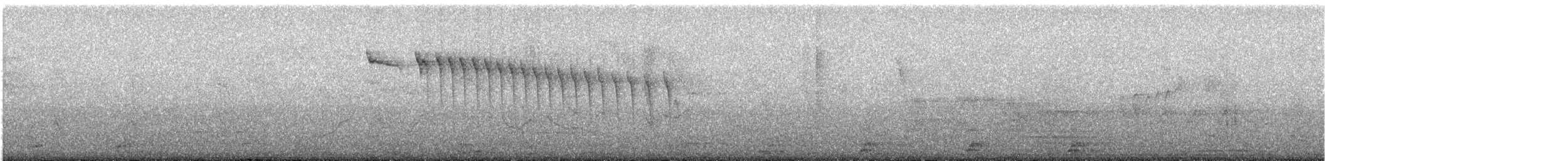 Rufous-tailed Hummingbird - ML648367792