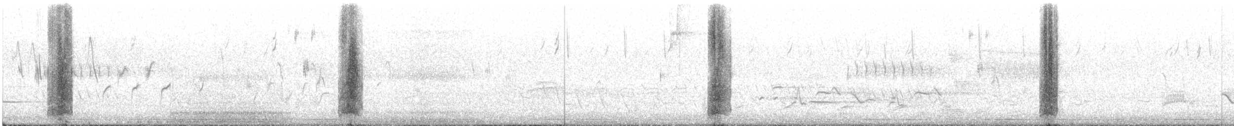 vlaštovka stromová - ML648373257