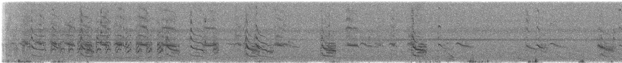 Forster's Tern - ML648373755