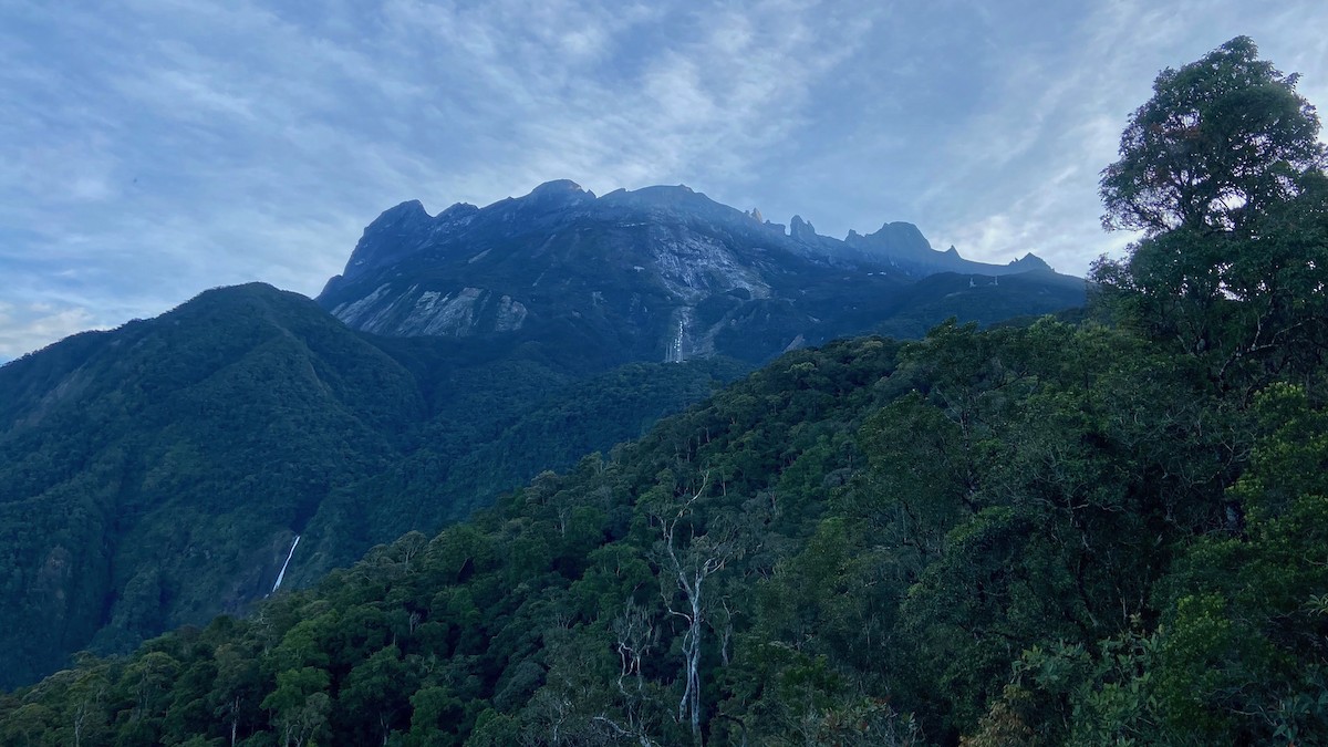 Not specified - Tim Forrester