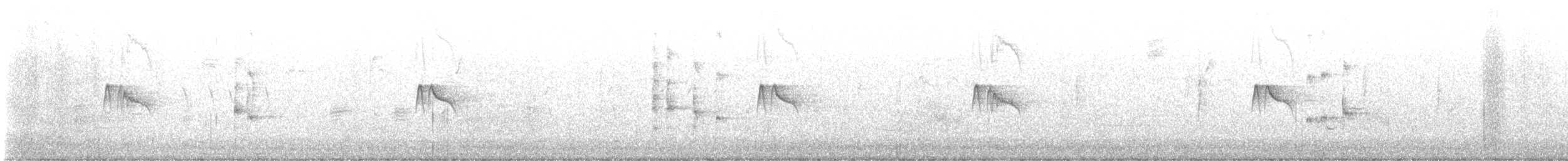 Virginia Rail - ML648379658