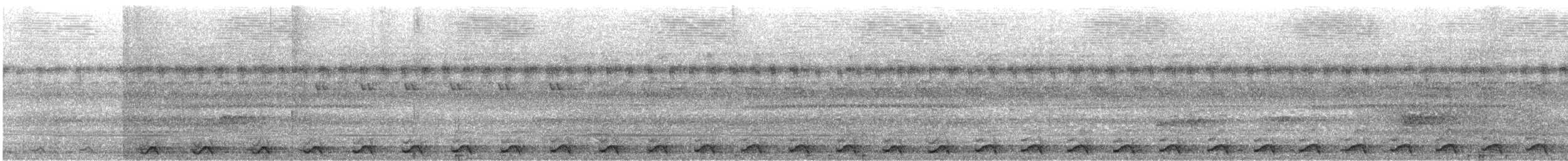 Speckled Boobook - ML648381477