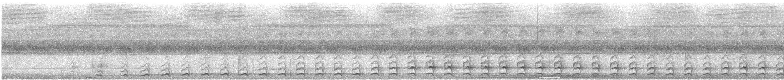 Speckled Boobook - ML648381517