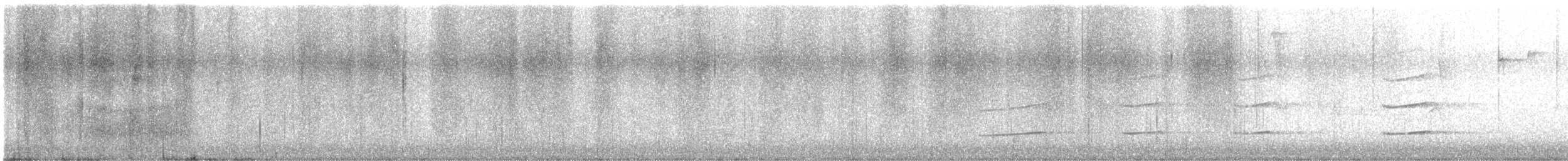 Bald Eagle - ML648386407