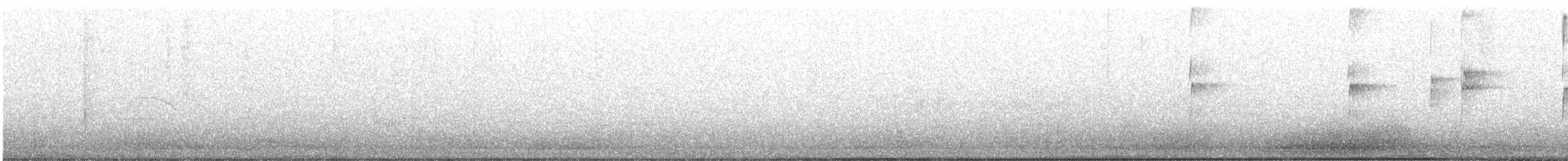 Solitary Sandpiper - ML648390354