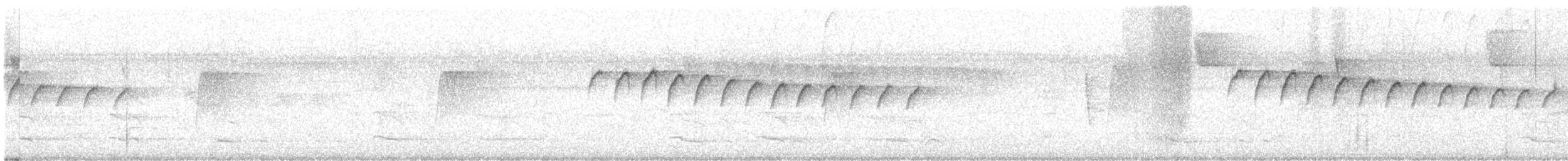 hvitbrynmyggsmett - ML648396742