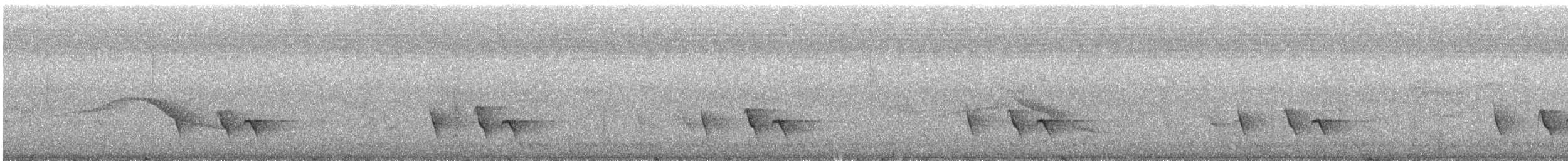 Янчик білобровий - ML648426242