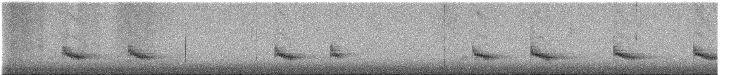 Carolina Wren - ML648432922