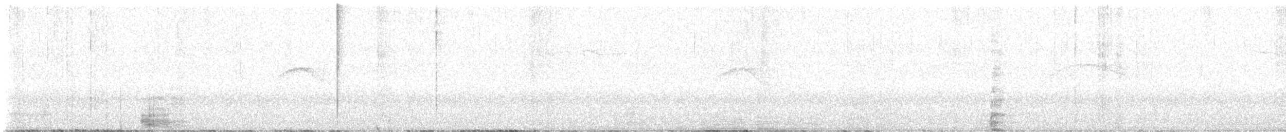 Chestnut-bellied Chat-Tyrant - ML648440498