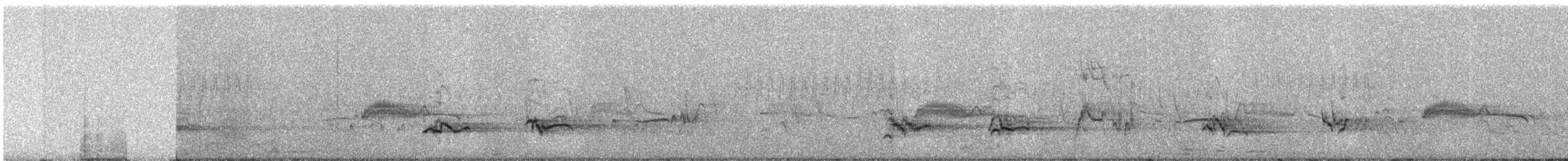 American Robin - ML648445028