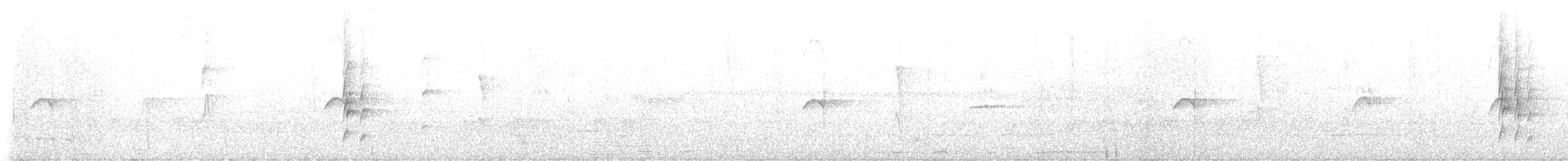 Rough-legged Tyrannulet - ML648445971