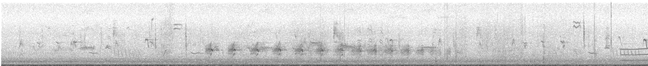 Virginia Rail - ML648454376