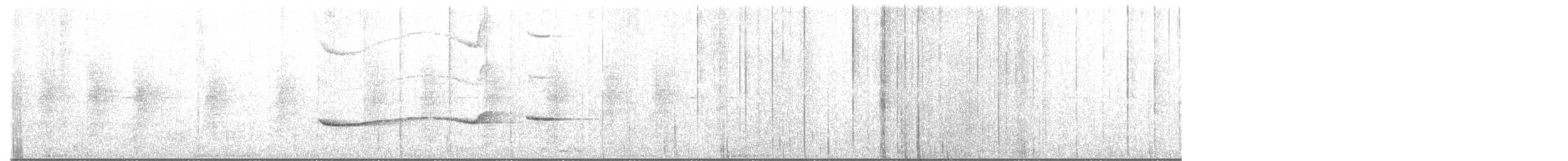 norddespot (veraepacis gr.) - ML648462341