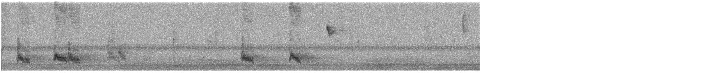 Hegaztia sp. - ML648467831