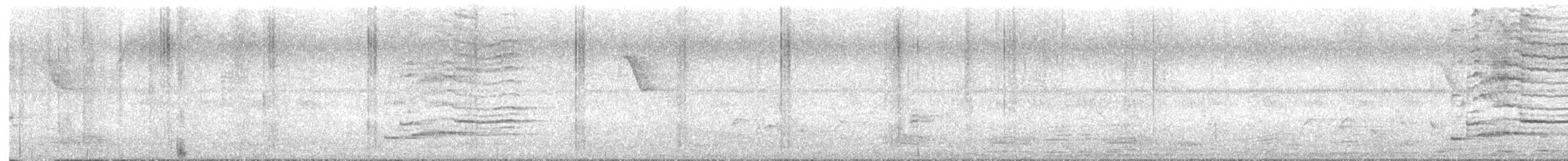 Wanderbaumelster - ML648468242