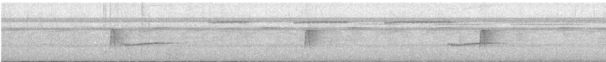 חטפית ירקרקה - ML648469192