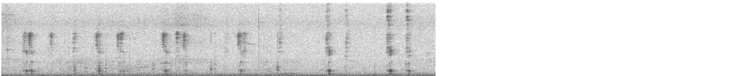 Northern Shoveler - ML648470170